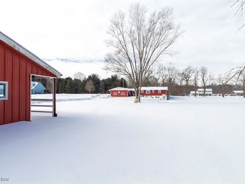 6961 Bear Swamp Road, Medina, OH 44256 Photo 39