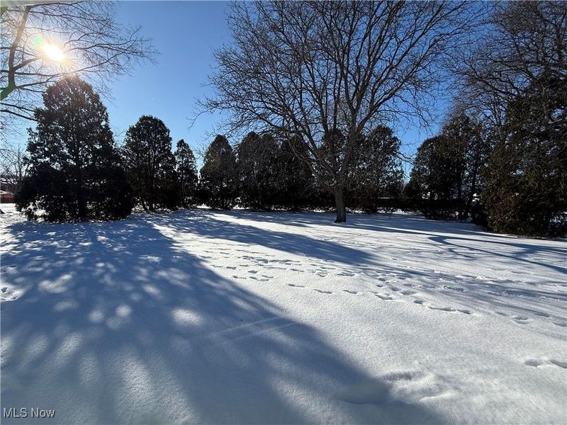 314 Kountz Drive, Wooster, OH 44691 Photo 22