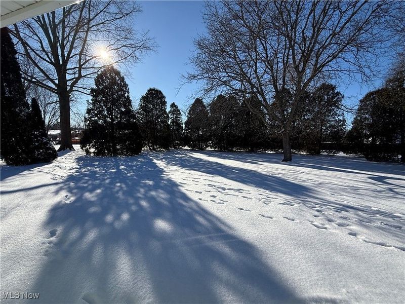 314 Kountz Drive, Wooster, OH 44691 Photo 24