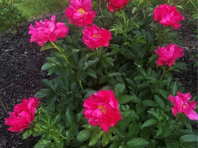 7365 Hayward Road, Hudson, OH 44236 Photo 46