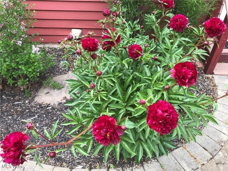 7365 Hayward Road, Hudson, OH 44236 Photo 47