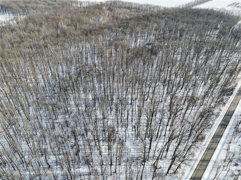 VL Sisley Road, Orwell, OH 44076 Photo 3