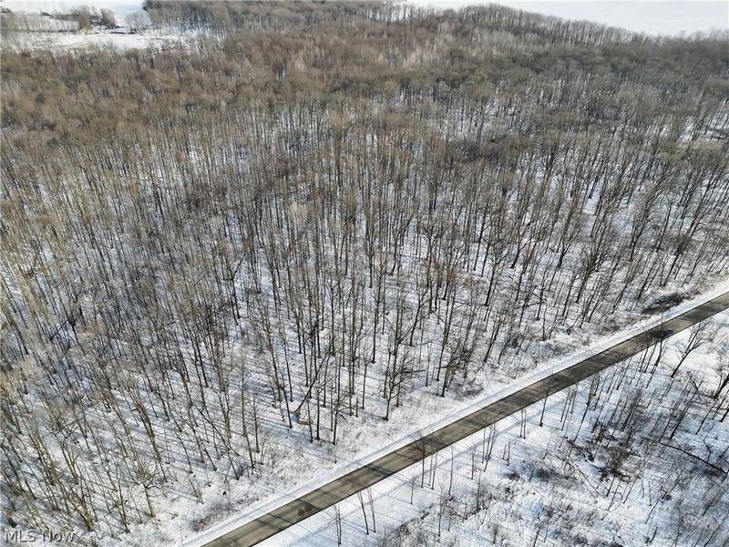 VL Sisley Road, Orwell, OH 44076 Photo 9