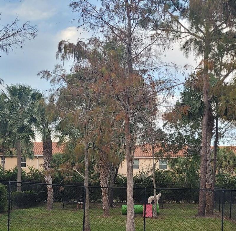 4197 N Haverhill Road, Unit 212, West Palm Beach, FL 33417 Photo