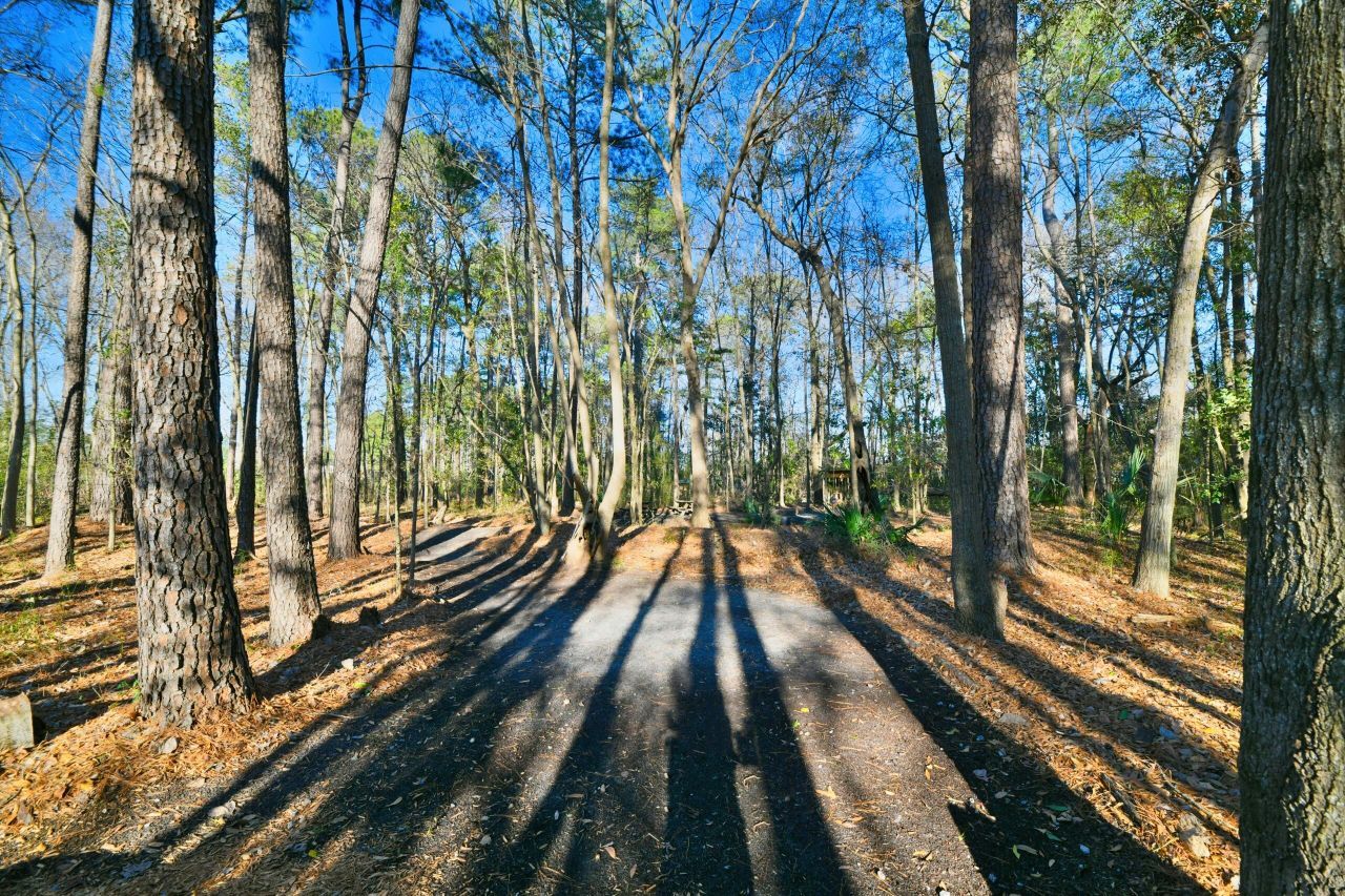 107 Auto Supply Drive Photo 10