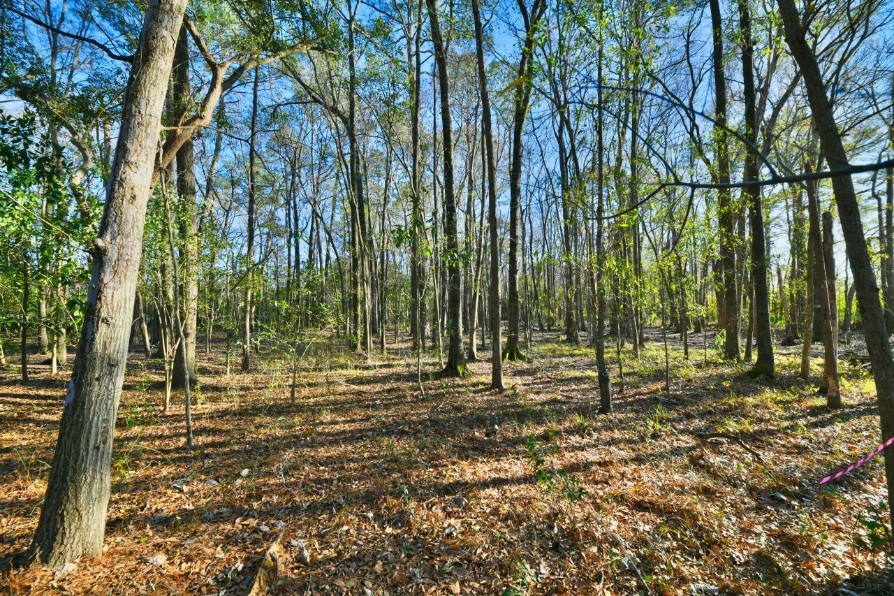 107 Auto Supply Drive Photo 18