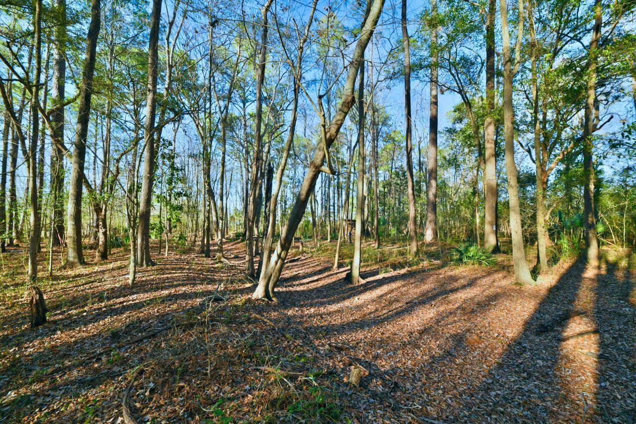 107 Auto Supply Drive Photo 20