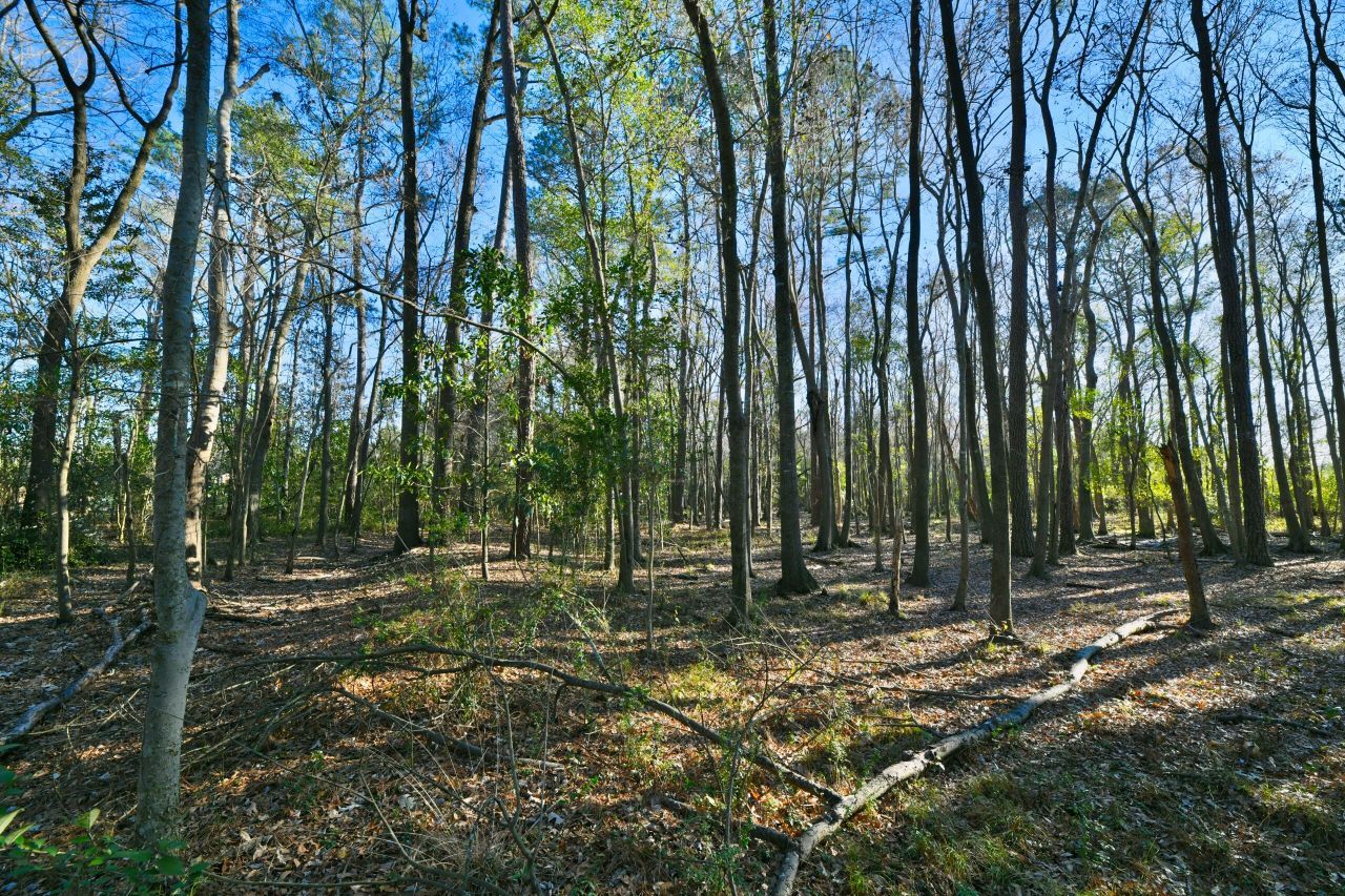 107 Auto Supply Drive Photo 21