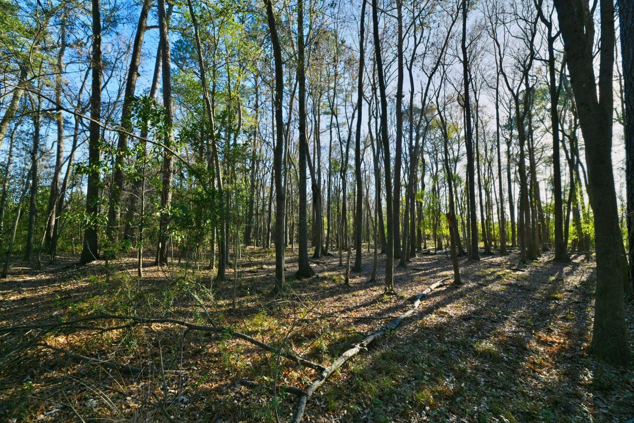 107 Auto Supply Drive Photo 22