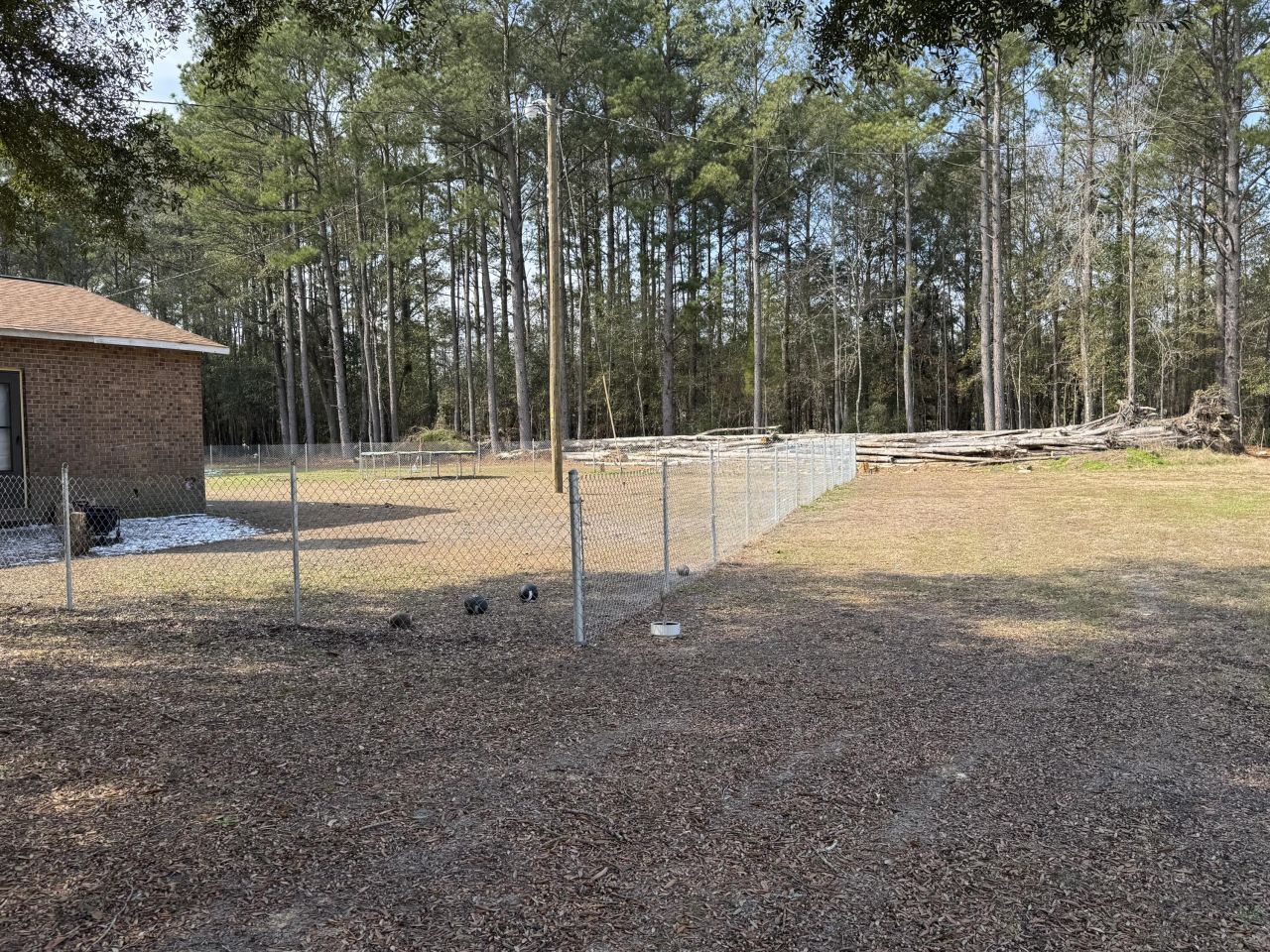 123 Chavis Lane Photo 13