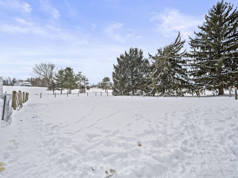 3664 Township Road 145 Road, Mount Gilead, OH 43338 Photo 35