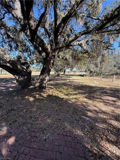 2687 Old Lakeport Rd , Moore Haven, FL 33471 Photo