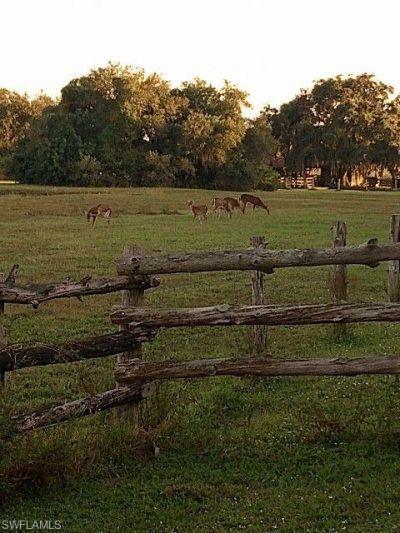 2687 Old Lakeport Rd , Moore Haven, FL 33471 Photo