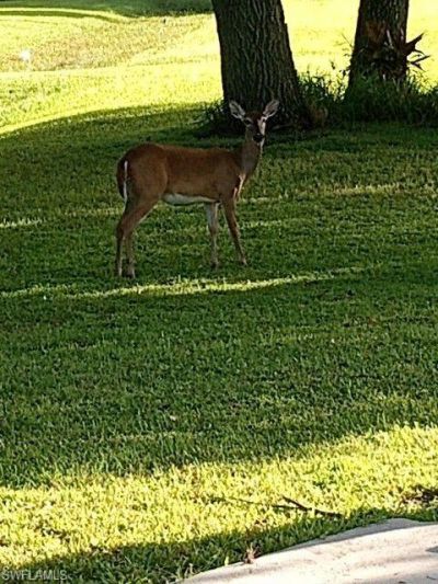 2687 Old Lakeport Rd , Moore Haven, FL 33471 Photo