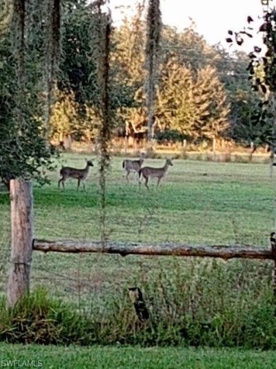 2687 Old Lakeport Rd , Moore Haven, FL 33471 Photo