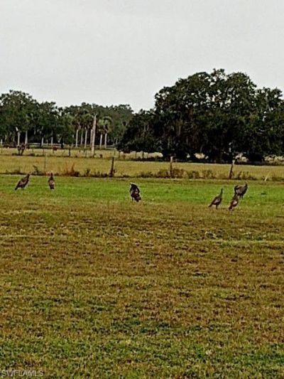 2687 Old Lakeport Rd , Moore Haven, FL 33471 Photo