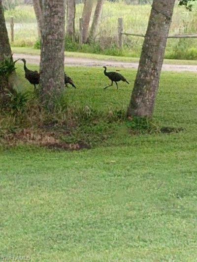 2687 Old Lakeport Rd , Moore Haven, FL 33471 Photo