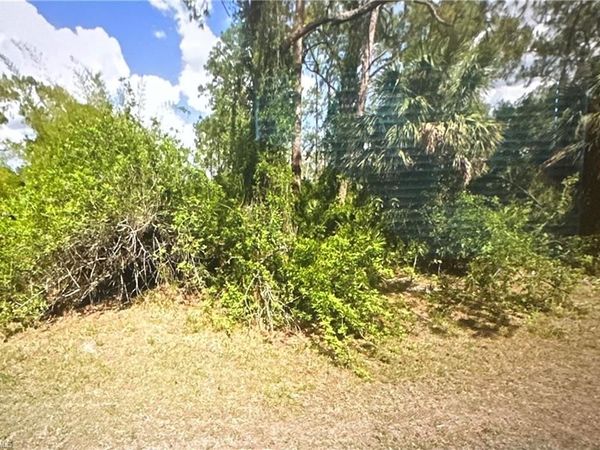 2310 Monroe AVE , ALVA, FL 33920