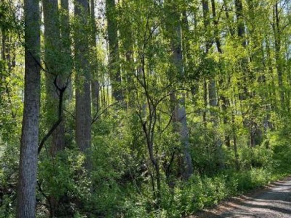 CARLETANS LN, THE PLAINS, VA 20198