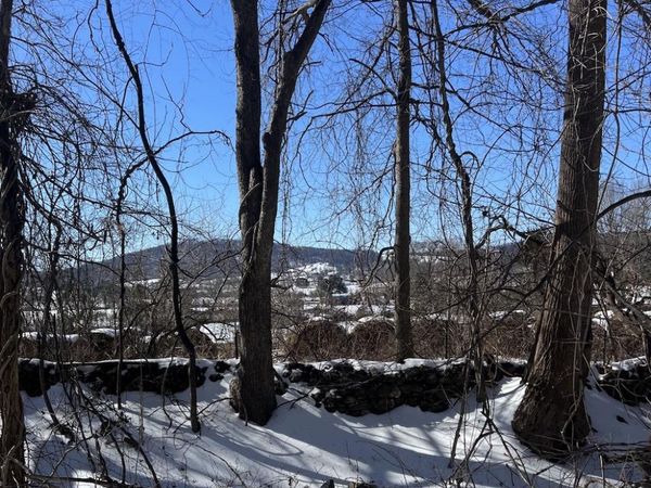 CARLETANS LN, THE PLAINS, VA 20198