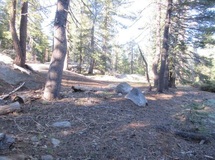 175 Silver Tip Drive, Bear Valley, CA 95223 Photo