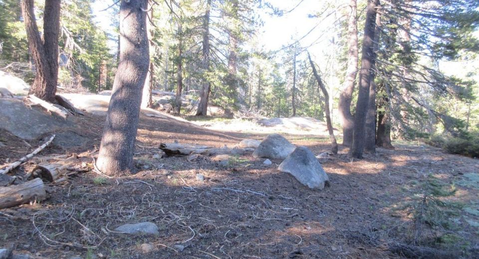 175 Silver Tip Drive, Bear Valley, CA 95223 Photo