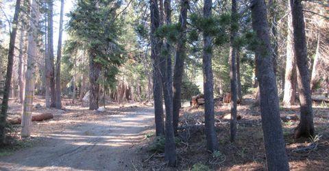 175 Silver Tip Drive, Bear Valley, CA 95223 Photo