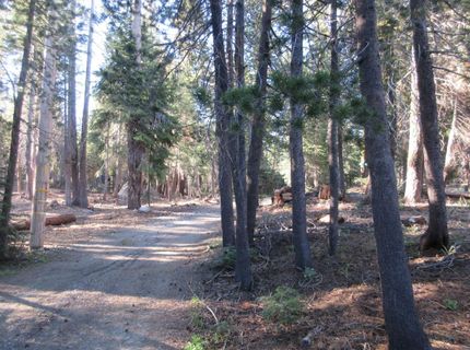 175 Silver Tip Drive, Bear Valley, CA 95223 Photo