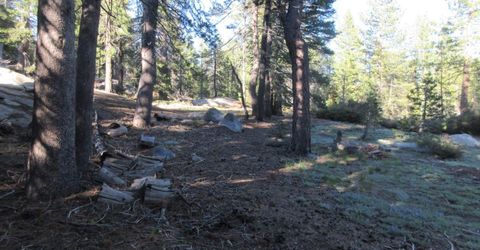 175 Silver Tip Drive, Bear Valley, CA 95223 Photo