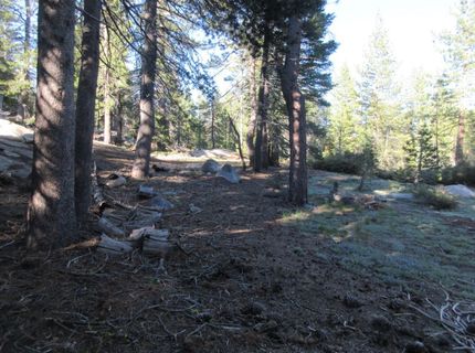 175 Silver Tip Drive, Bear Valley, CA 95223 Photo