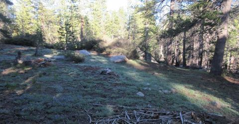 175 Silver Tip Drive, Bear Valley, CA 95223 Photo