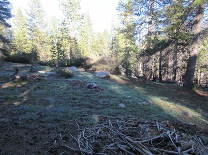 175 Silver Tip Drive, Bear Valley, CA 95223 Photo