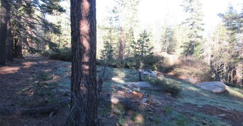 175 Silver Tip Drive, Bear Valley, CA 95223 Photo