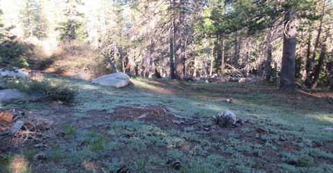 175 Silver Tip Drive, Bear Valley, CA 95223 Photo