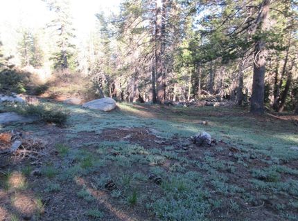 175 Silver Tip Drive, Bear Valley, CA 95223 Photo