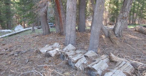 175 Silver Tip Drive, Bear Valley, CA 95223 Photo