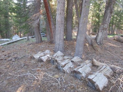 175 Silver Tip Drive, Bear Valley, CA 95223 Photo