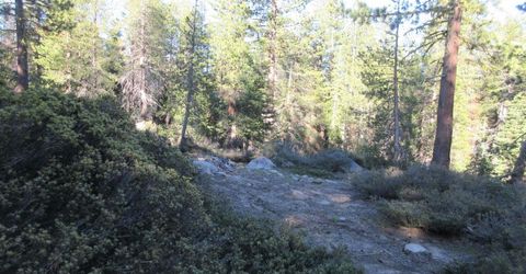 175 Silver Tip Drive, Bear Valley, CA 95223 Photo