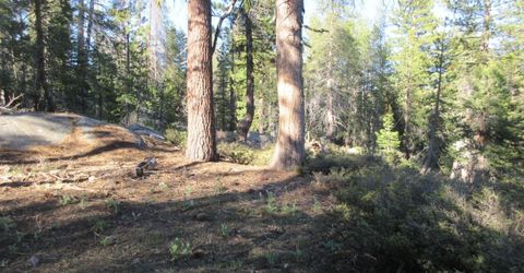 175 Silver Tip Drive, Bear Valley, CA 95223 Photo