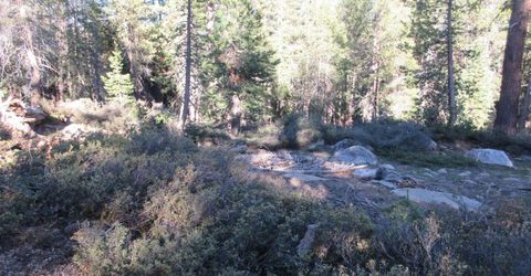 175 Silver Tip Drive, Bear Valley, CA 95223 Photo