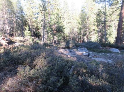 175 Silver Tip Drive, Bear Valley, CA 95223 Photo