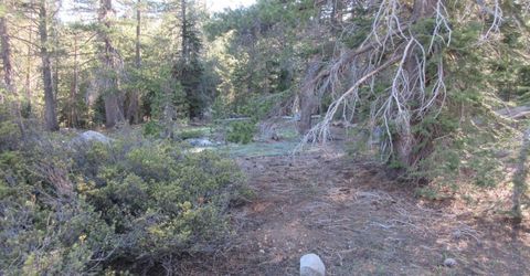 175 Silver Tip Drive, Bear Valley, CA 95223 Photo