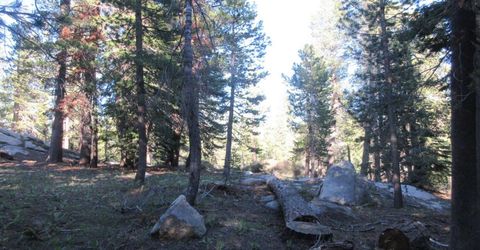 175 Silver Tip Drive, Bear Valley, CA 95223 Photo