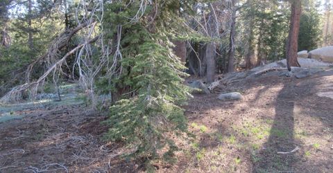 175 Silver Tip Drive, Bear Valley, CA 95223 Photo