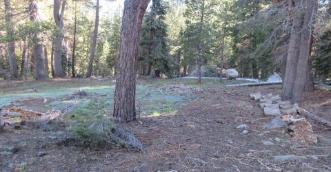 175 Silver Tip Drive, Bear Valley, CA 95223 Photo