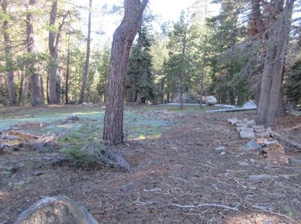 175 Silver Tip Drive, Bear Valley, CA 95223 Photo