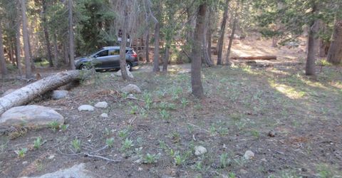 175 Silver Tip Drive, Bear Valley, CA 95223 Photo