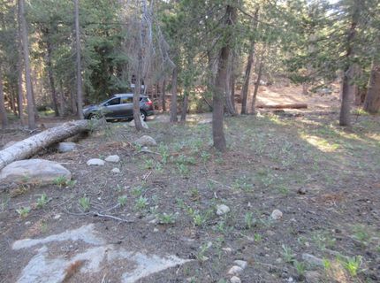 175 Silver Tip Drive, Bear Valley, CA 95223 Photo