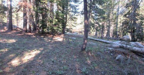 175 Silver Tip Drive, Bear Valley, CA 95223 Photo