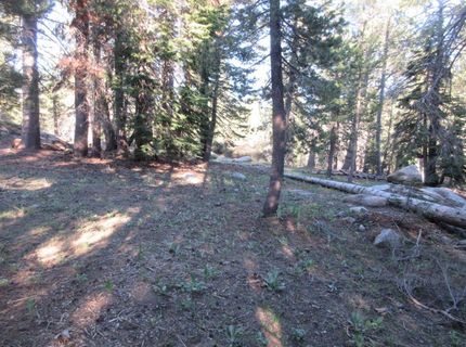 175 Silver Tip Drive, Bear Valley, CA 95223 Photo